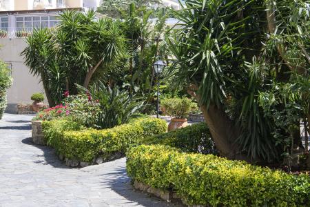 La Residenza Capri - 31