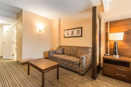 Comfort Suites Downtown - 2