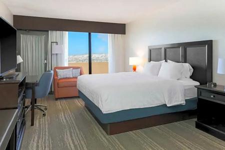 Hampton Inn - 77