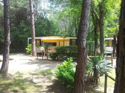 Holiday Center Valdor - 40