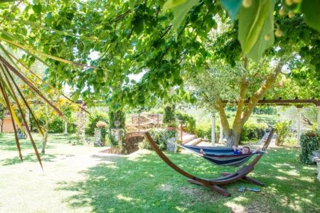 Residence e B&B Villamirella - 270