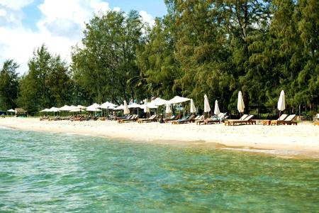 Camellia Resort & Spa - 18