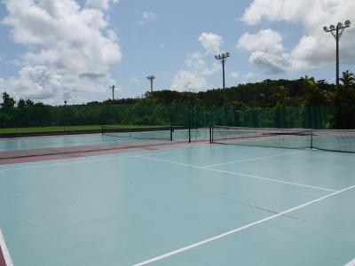Okinawa Kariyushi Resort Exes Onna - 34