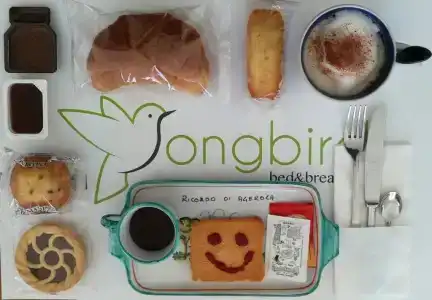 Songbird - 9