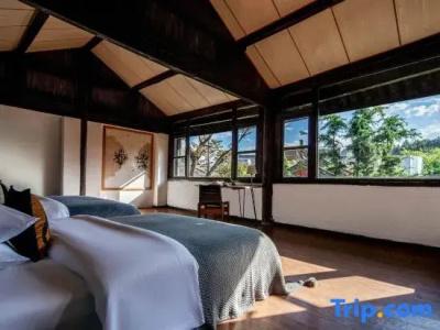 Adonis Inn - 15
