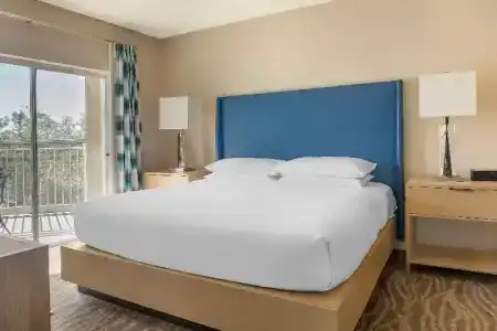 Hilton Grand Vacations Club SeaWorld Orlando - 52