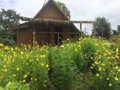 Baan 2 Dao Farmstay - 33