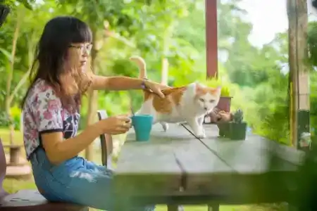 Baan Kati Sod - 16
