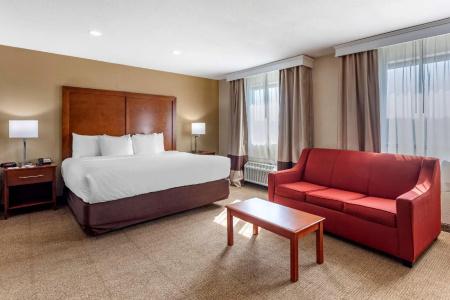 Comfort Inn Nashville West - 39