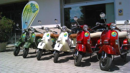 Alexander - 12