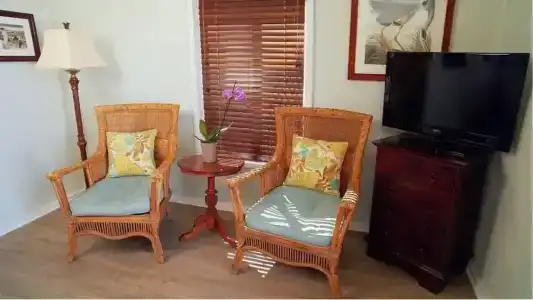 Coconut Palm Inn - 69
