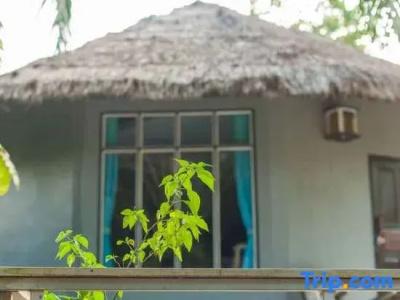 Tamsabai - 70