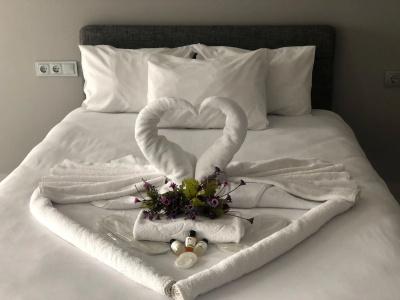 Çalışkanlar Apart Otel - 15