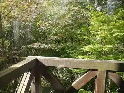 Yamanakako-Asahigaoka-Onsen Seikei - 28