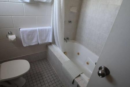 Colonial Rose - 8