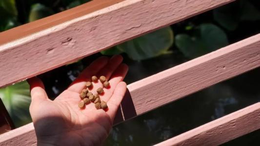 Warakorn Baansuan - 4