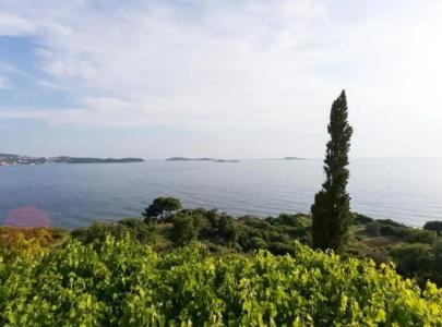 Villa Samba - 222