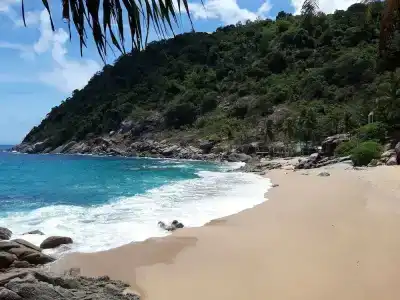 The Pace Phuket Boutique Resort - 12