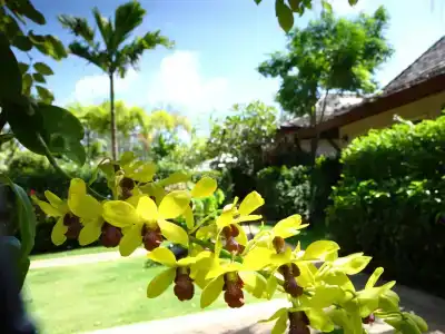 Pai Tan Villas - Sha Extra Plus - 16
