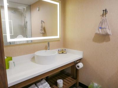 Wyndham Anaheim - 28