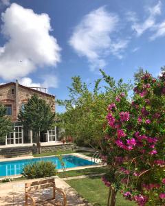 Alacati Zeytin Konak - 13
