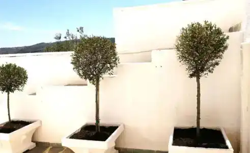Pefkides Aegina Boutique - 32