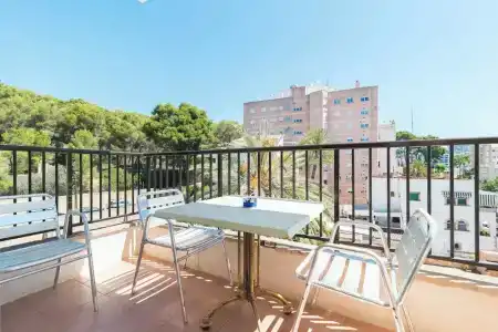 Lis Mallorca - 130