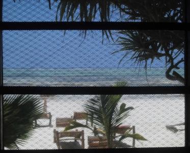 Simba Beach Zanzibar - 6
