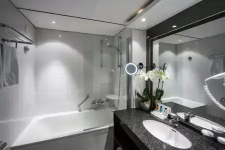 Crowne Plaza Maastricht, An Ihg - 45