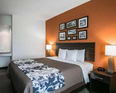 Restwell Inn & Suites I-45 North - 61