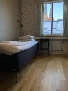 Uppsala CityStay - 65