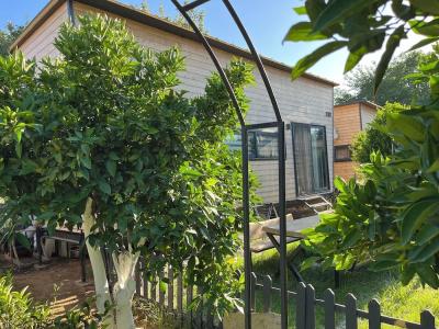 Gaia Tiny Houses Butik - 12