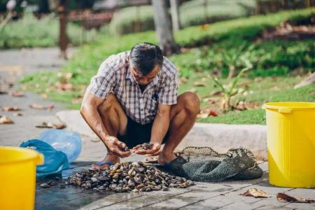 Village Changi By Far East Hospitality (Sg Clean) - 31