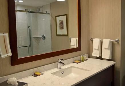 DoubleTree Fallsview & Spa by Hilton - - 52