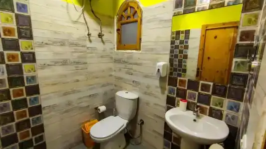 Shams & Dive Centre - 7