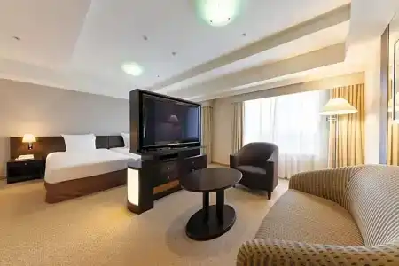 Ana Crowne Plaza Toyama, An Ihg - 88