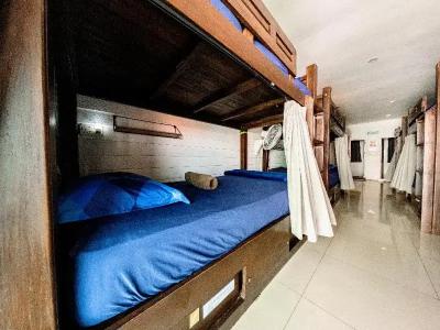 Back Home Backpackers - 20