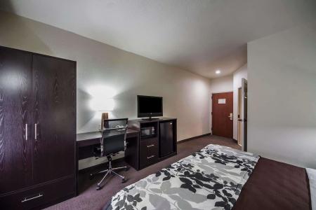 Sleep Inn and Suites Central / I-44 - 32