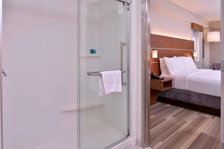 Holiday Inn Express New Orleans - St Charles, An Ihg - 64
