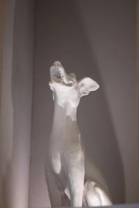 Firenze Rentals Corso 12 - 316