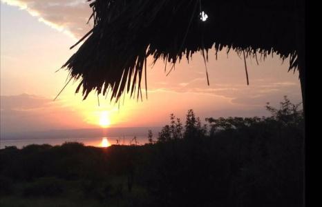 Manyara Wildlife Safari Camp - 9