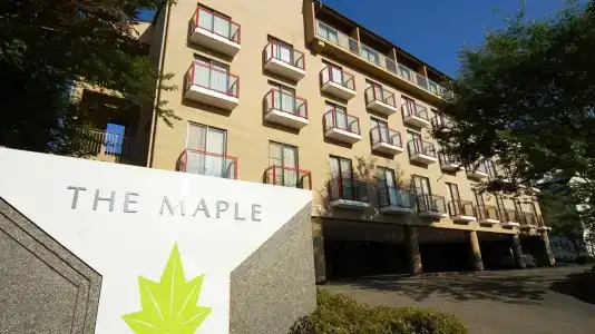 Maple Arima - 0