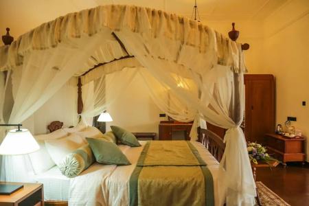 Castle Hill Bungalow - 41