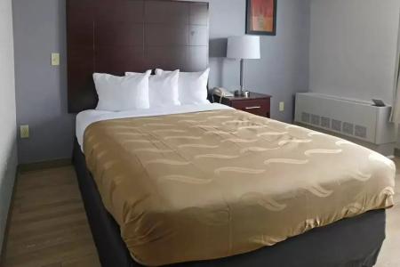 Quality Inn Colchester - 7