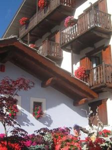 Plinia - 28