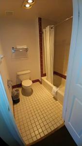 Executive Inn & Suites - 16