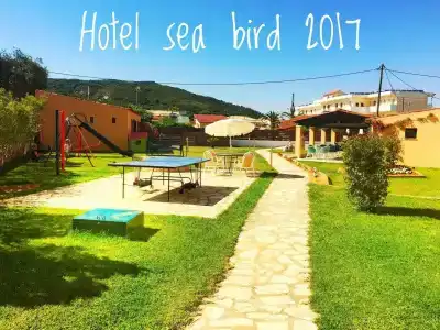 Sea Bird - 26