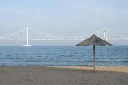 Gwangan Hound - 18