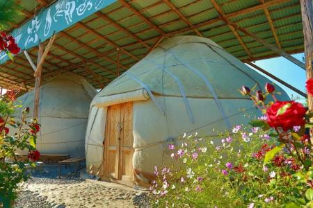 Happy Nomads Yurt Camp & Hostel - 7