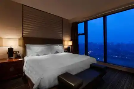 Radisson Blu Plaza Chongqing - 98